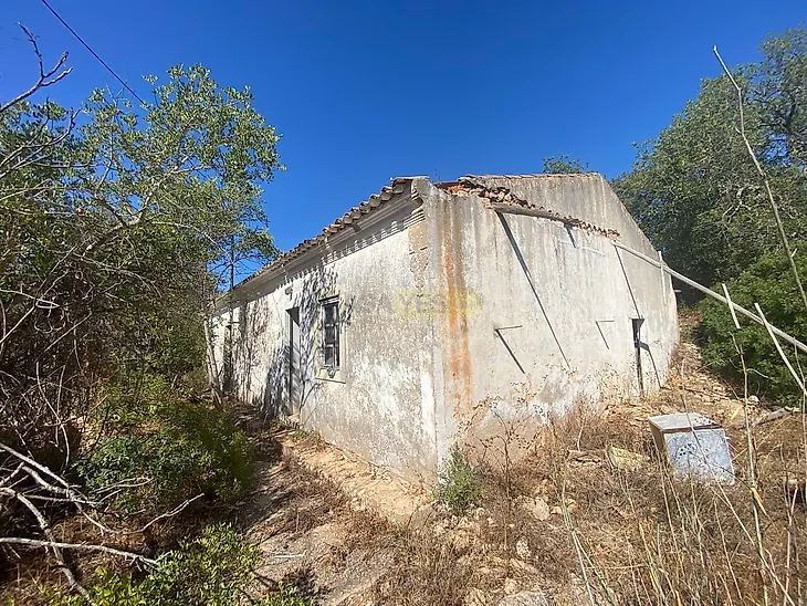 main-listing-picture-0
