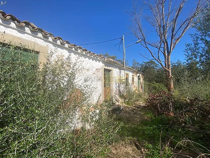 main-listing-picture-0
