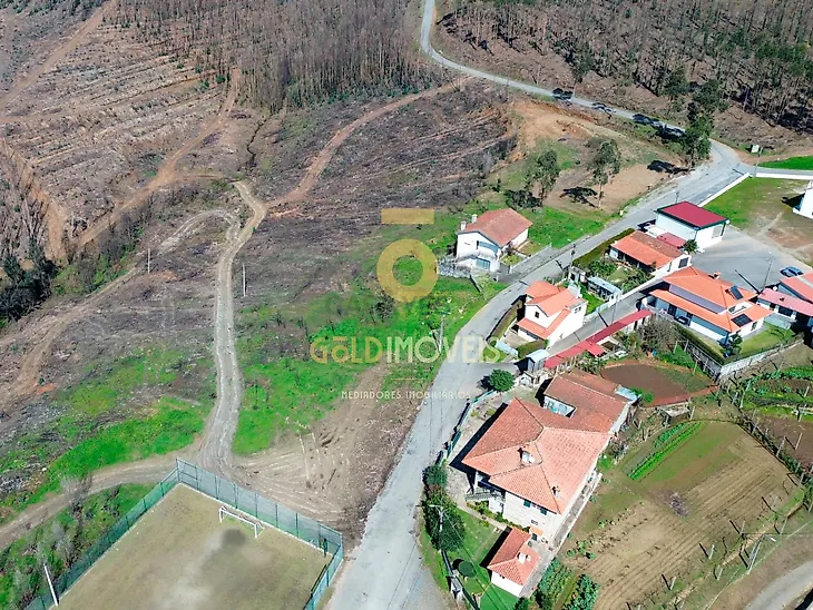 main-listing-picture-0