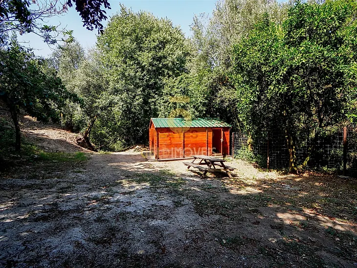 main-listing-picture-0