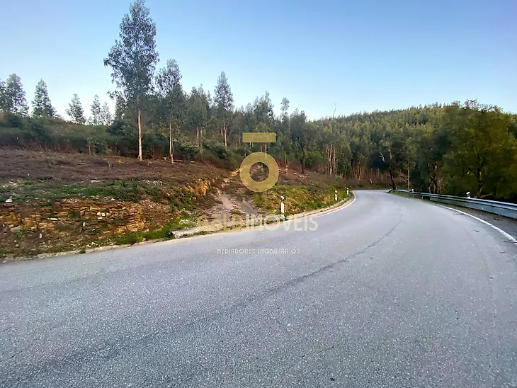 main-listing-picture-0