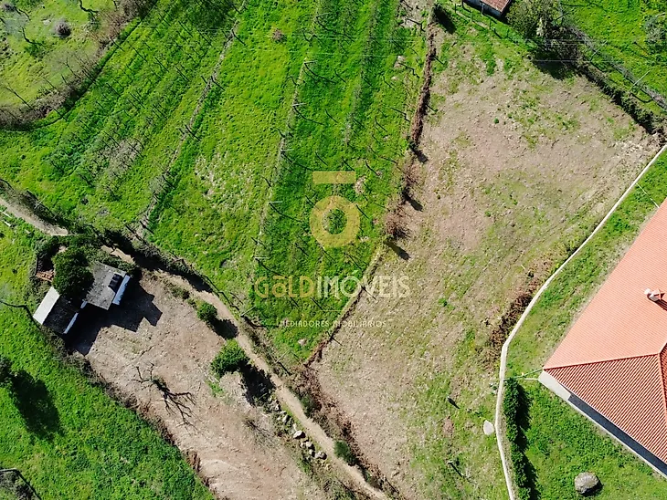 main-listing-picture-0