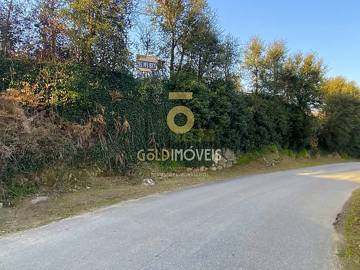 main-listing-picture-0