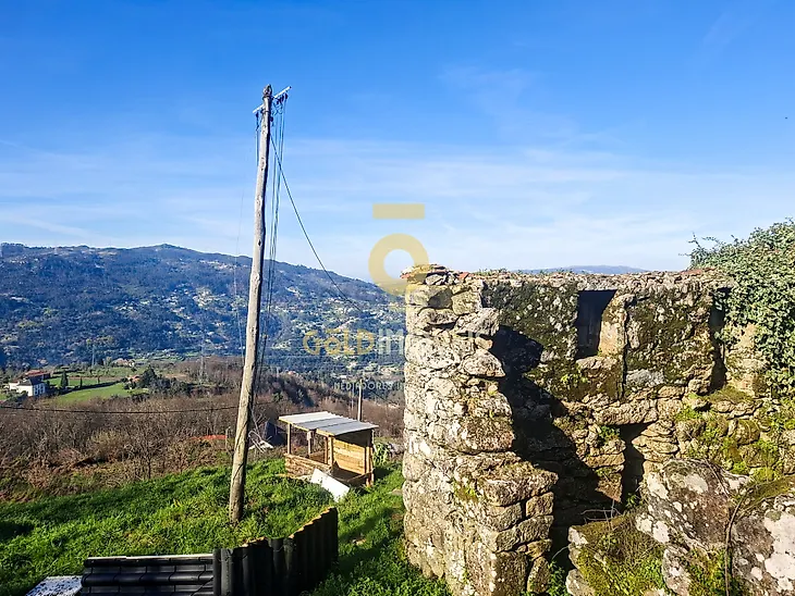 main-listing-picture-0