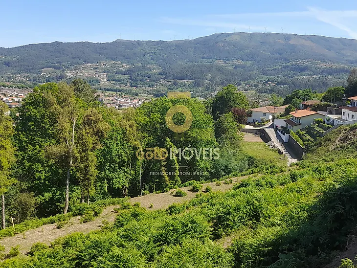 main-listing-picture-0