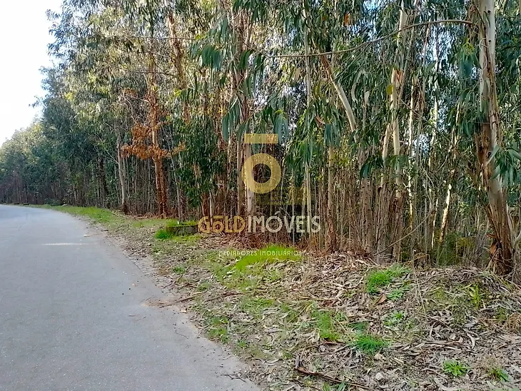main-listing-picture-0