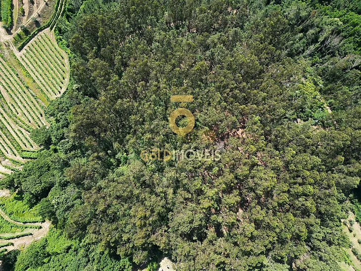 main-listing-picture-0