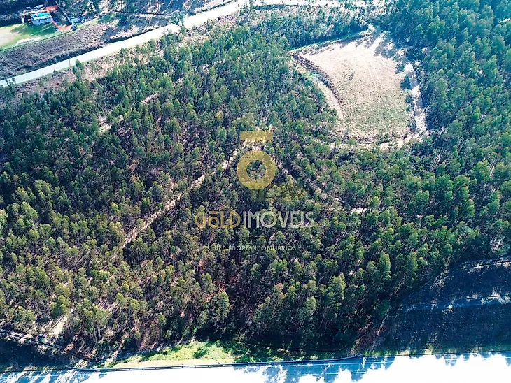 main-listing-picture-0