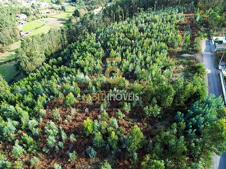 main-listing-picture-0