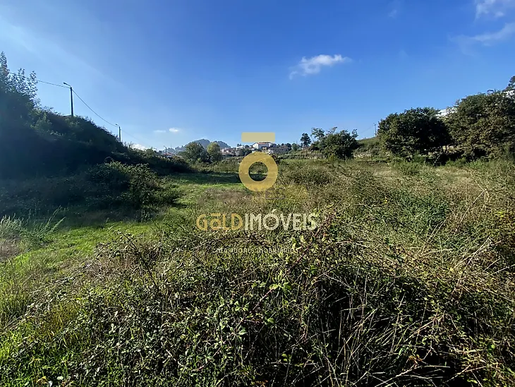 main-listing-picture-0