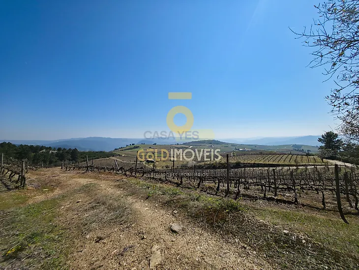 main-listing-picture-0