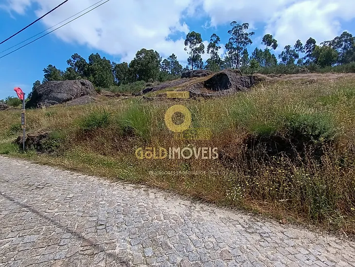 main-listing-picture-0