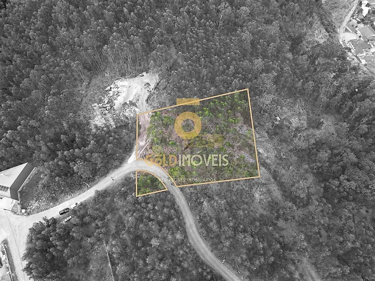 main-listing-picture-0