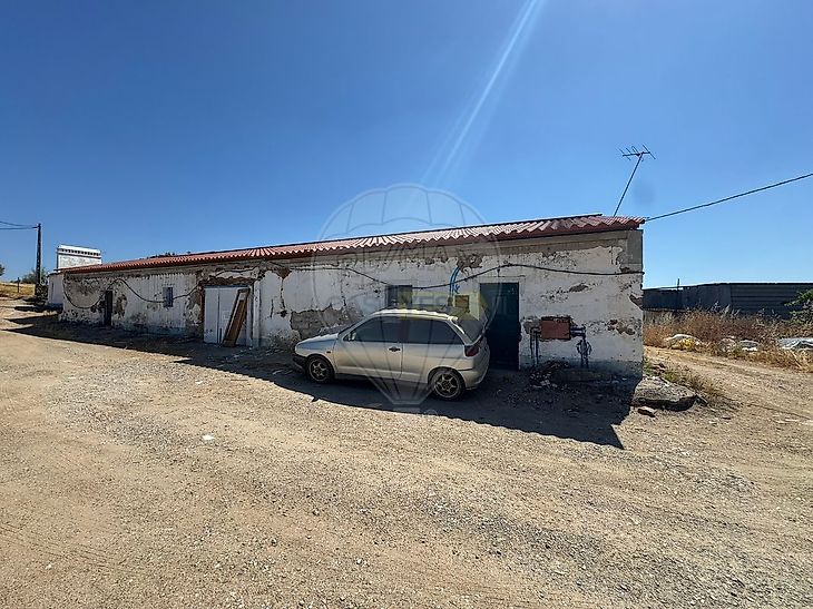main-listing-picture-0