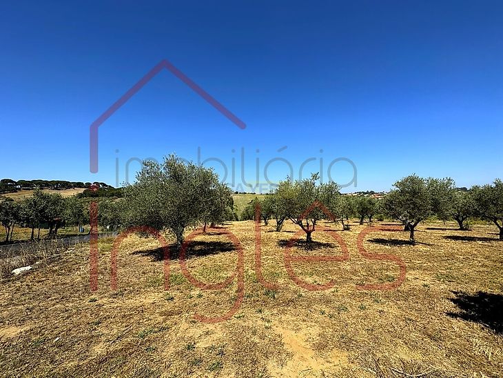 main-listing-picture-0