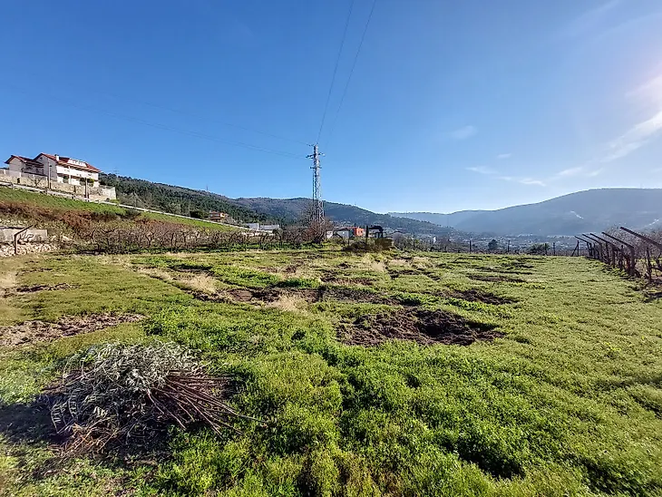 main-listing-picture-0