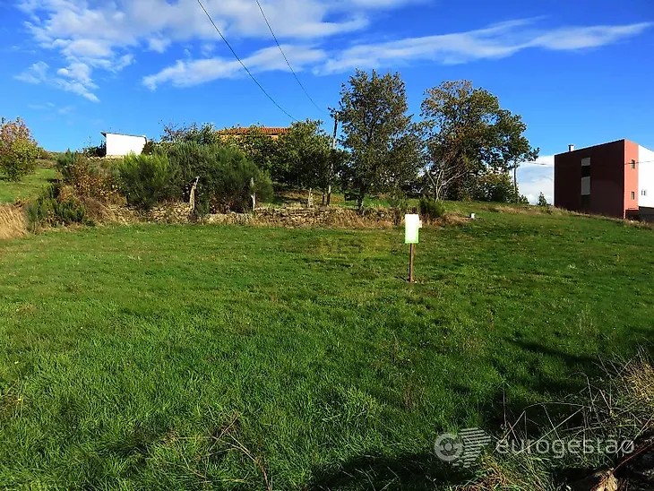 main-listing-picture-0