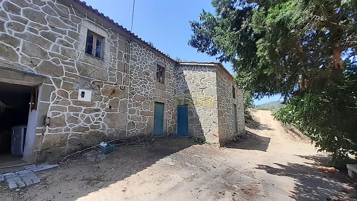 main-listing-picture-0