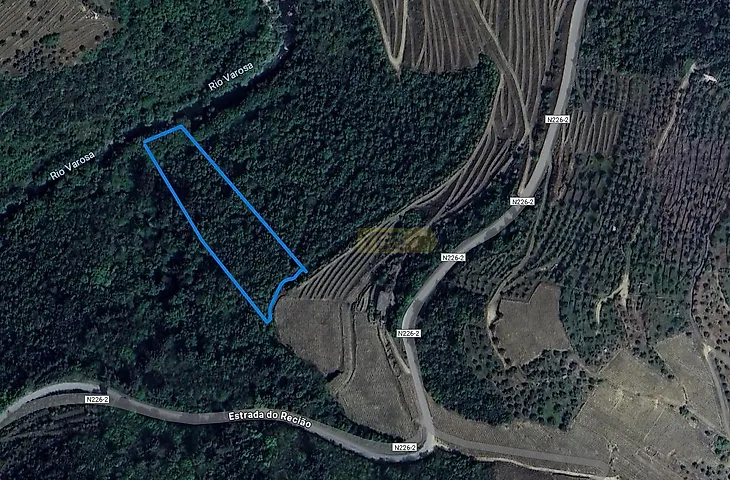 main-listing-picture-0