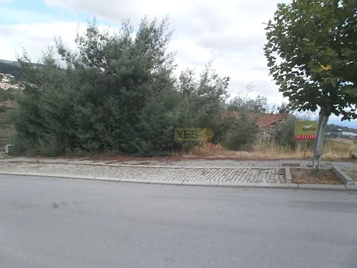 main-listing-picture-0