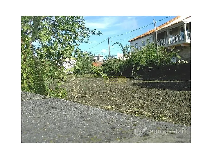 main-listing-picture-0