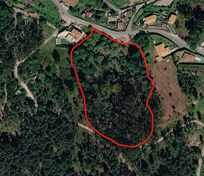main-listing-picture-0