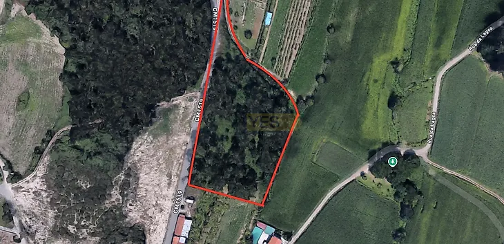 main-listing-picture-0