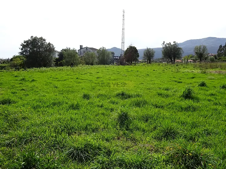 main-listing-picture-0