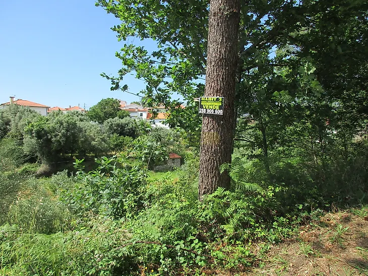 main-listing-picture-0