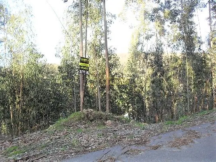main-listing-picture-0