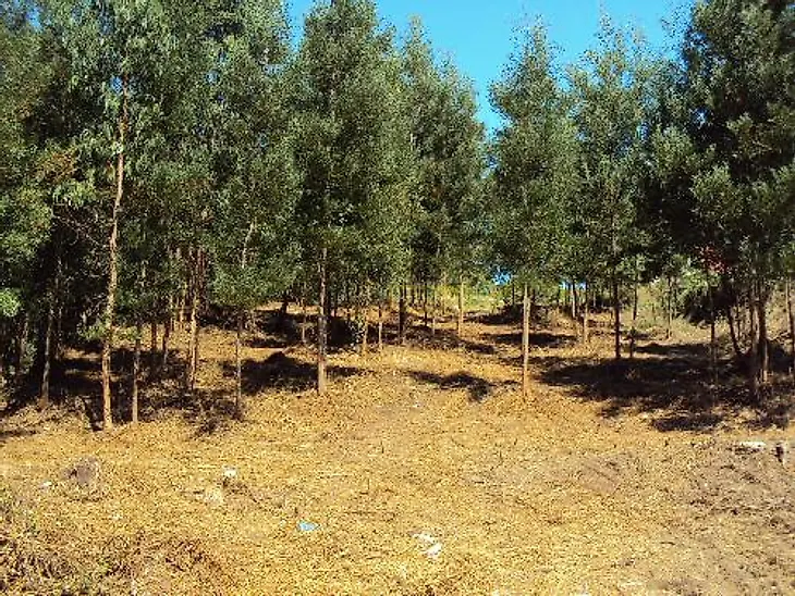 main-listing-picture-0