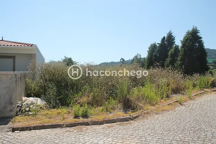 main-listing-picture-0