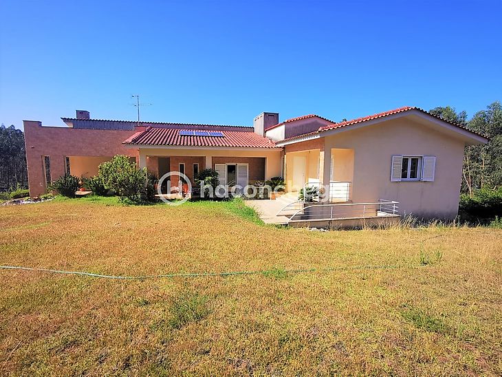 main-listing-picture-0