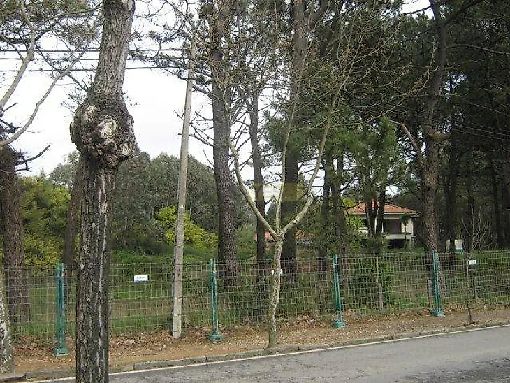 main-listing-picture-0