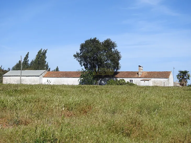 main-listing-picture-0