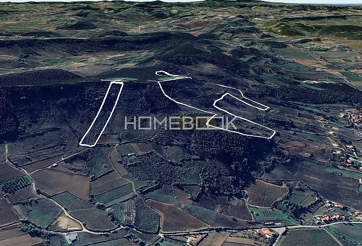 main-listing-picture-0