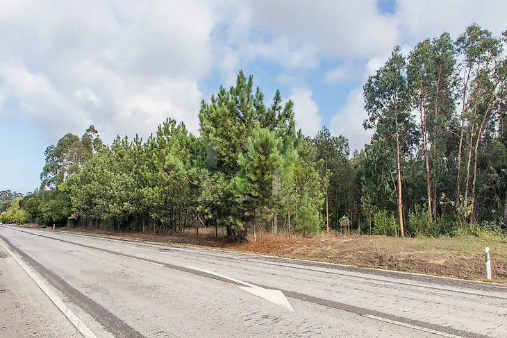 main-listing-picture-0