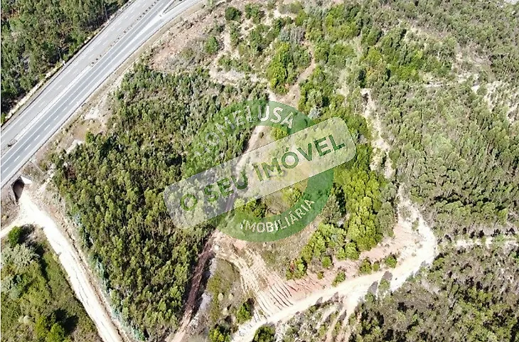 main-listing-picture-0
