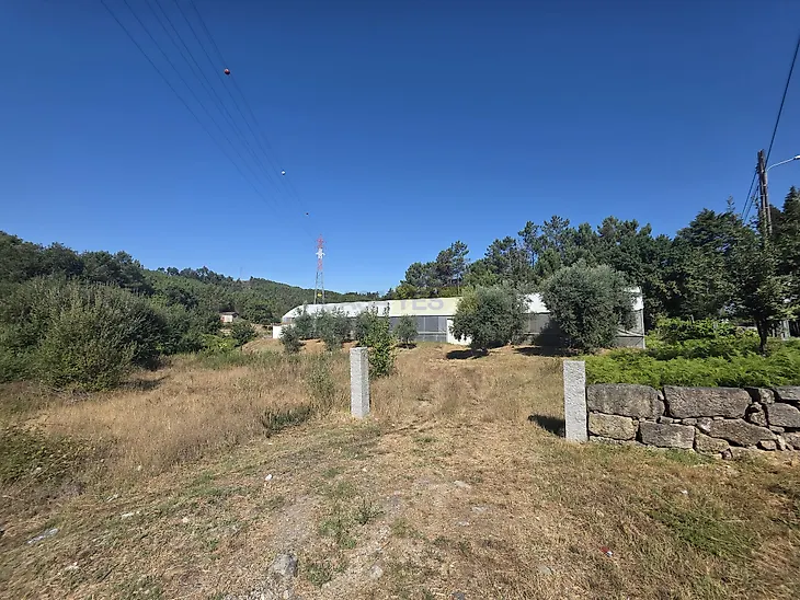 main-listing-picture-0