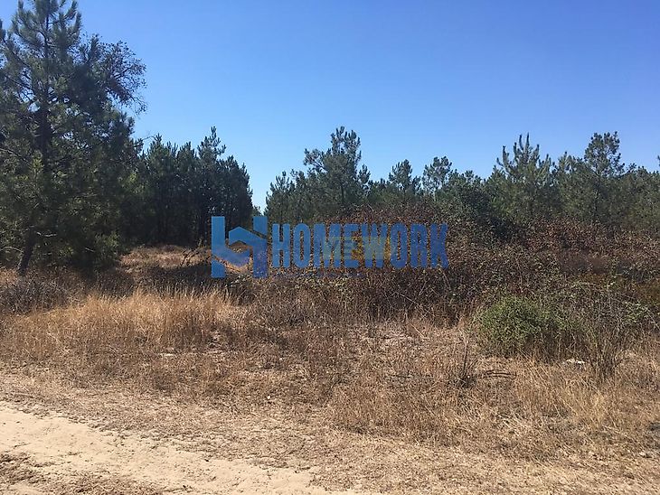 main-listing-picture-0