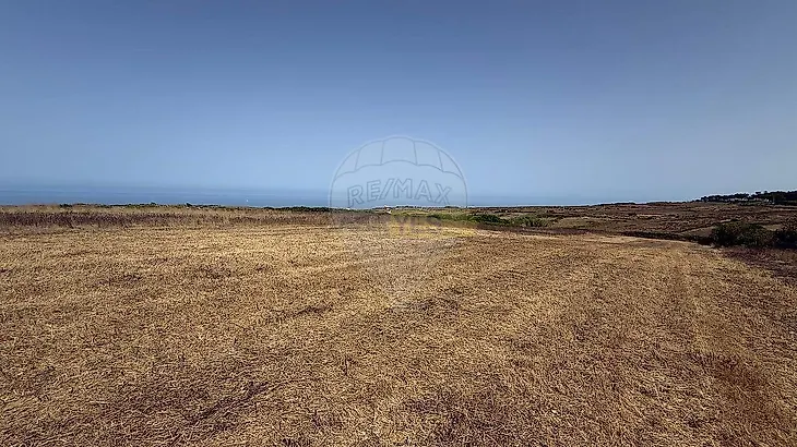 main-listing-picture-0