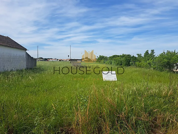 main-listing-picture-0