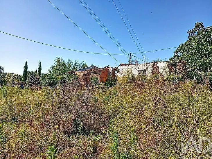 main-listing-picture-0