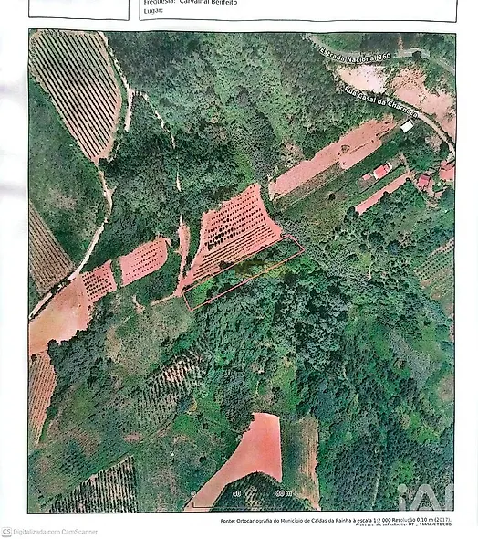 main-listing-picture-0
