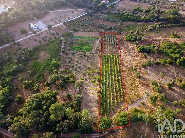 main-listing-picture-0