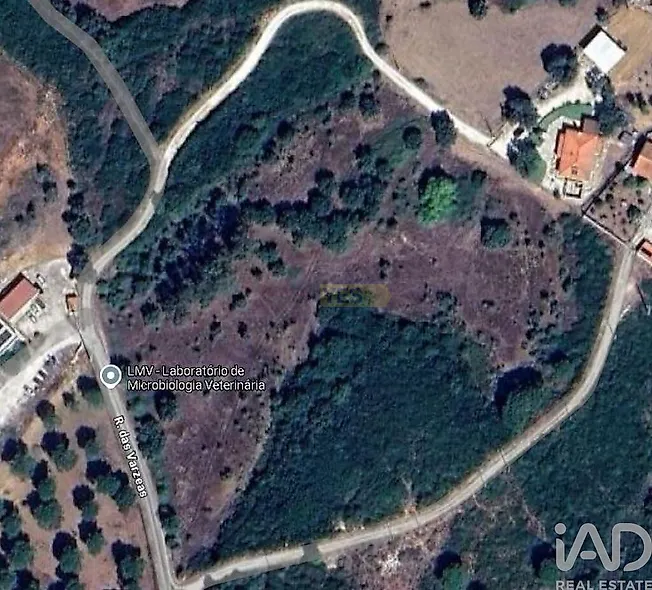 main-listing-picture-0