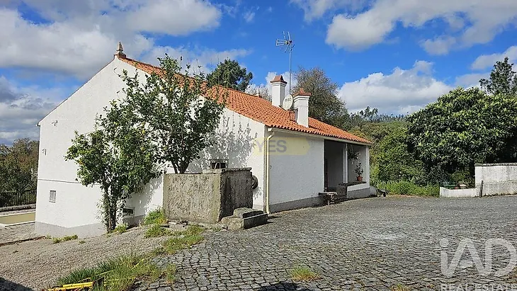 main-listing-picture-0