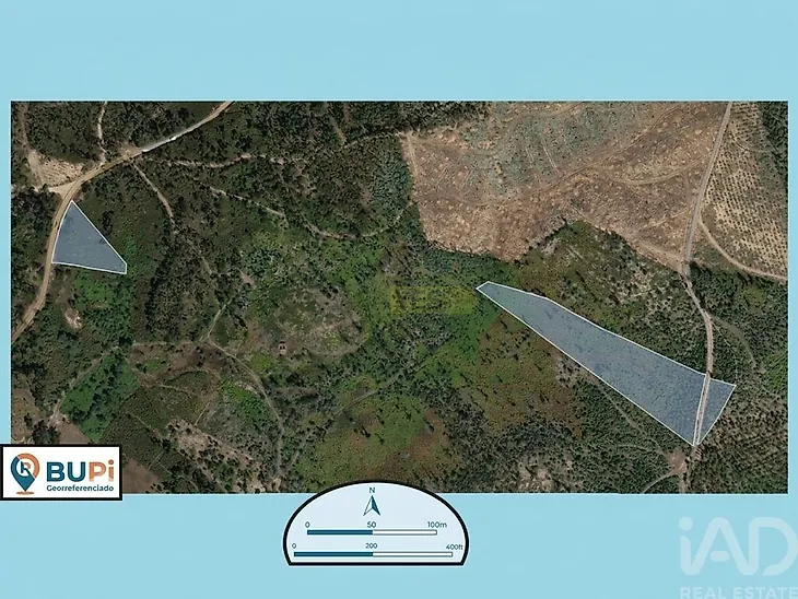 main-listing-picture-0