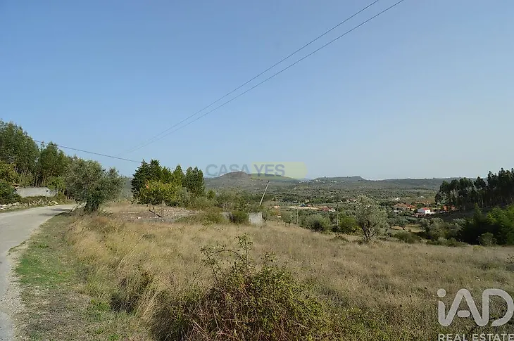 main-listing-picture-0