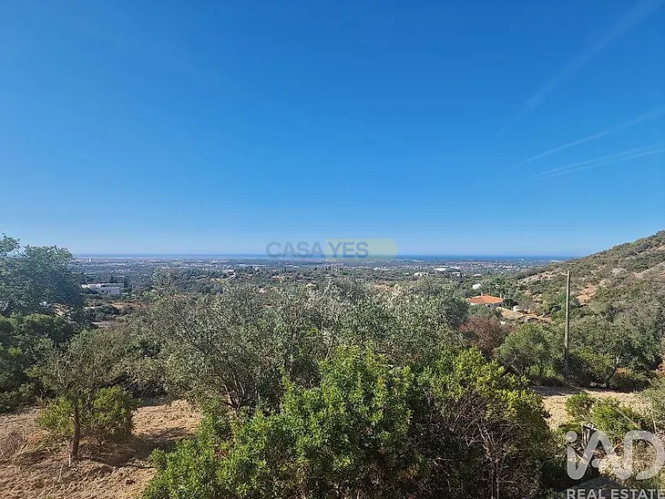main-listing-picture-0